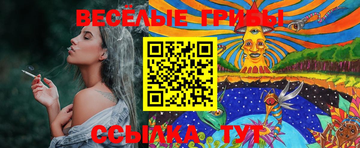 Псилоцибиновые грибы Psilocybine cubensis  Галлюциногенные грибы GOLDEN TEACHER  Вход с VPN  Трёхгорный 
